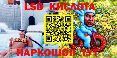 ПСИЛОЦИБИНОВЫЕ ГРИБЫ Тверь
