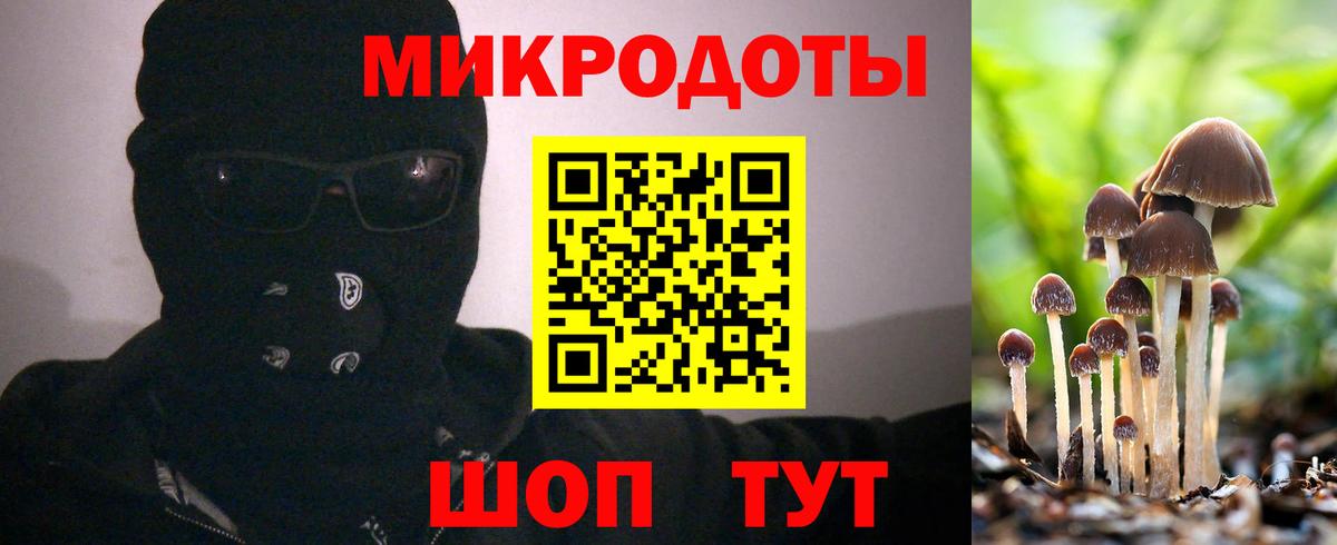 Нижний Новгород  Галлюциногенные грибы мухоморы  Вход с VPN 